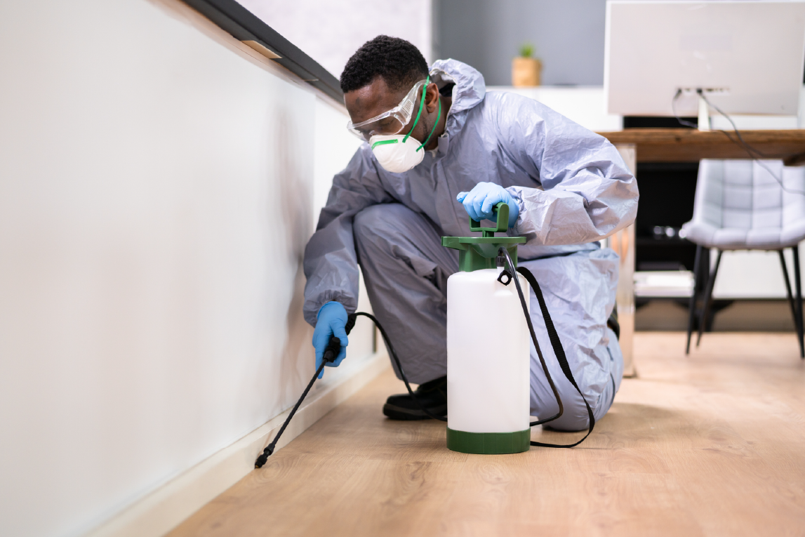 13 Best Albany, NY Pest Control Services | Expertise.com