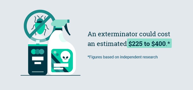 How Much Does An Exterminator Cost? [2024] | Expertise | Expertise.com