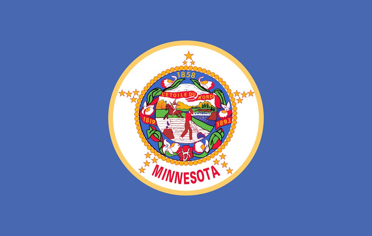 Minnesota state flag