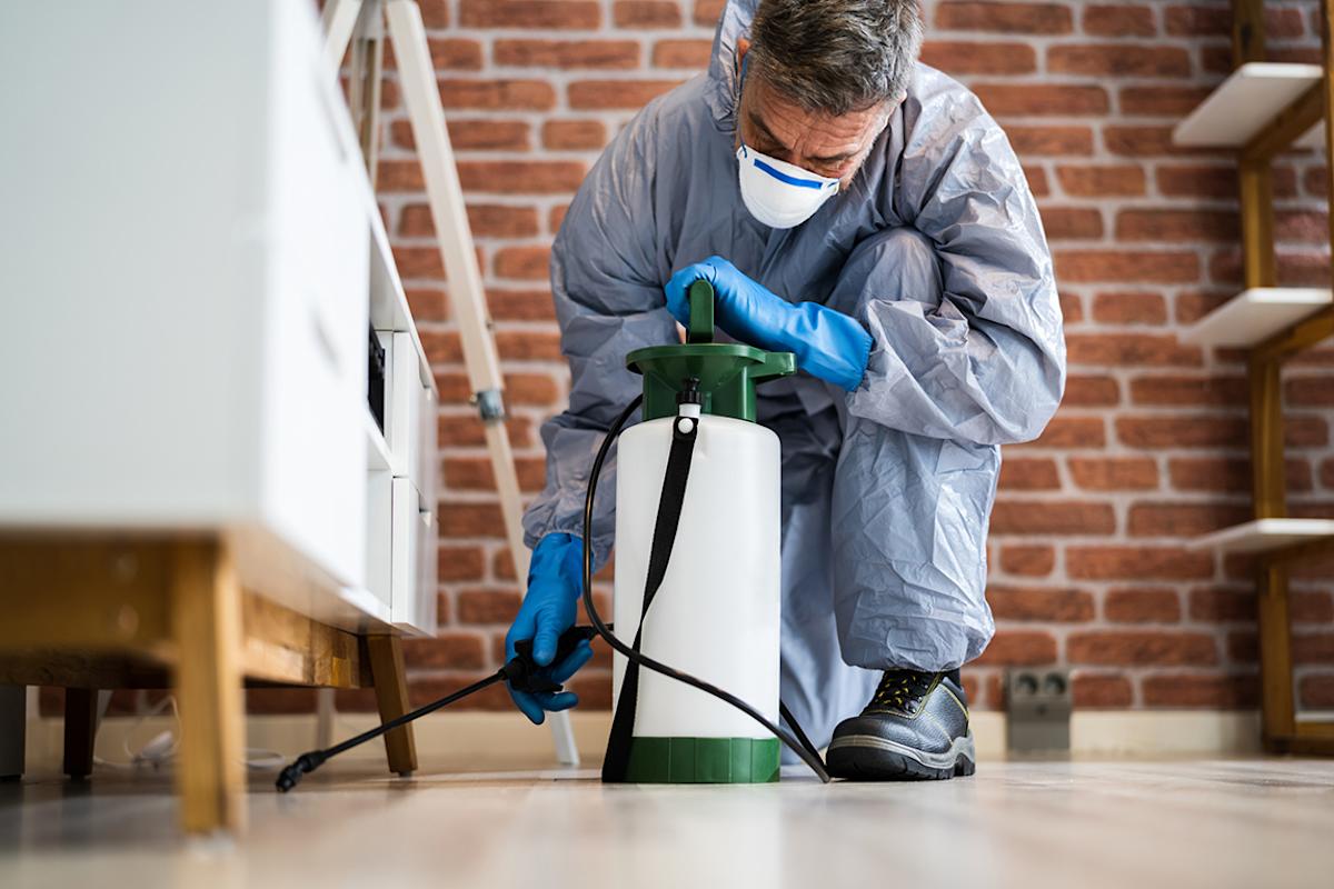 Pest control worker exterminating home 