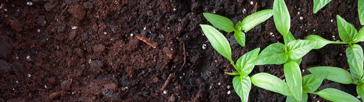 Composting-Hero