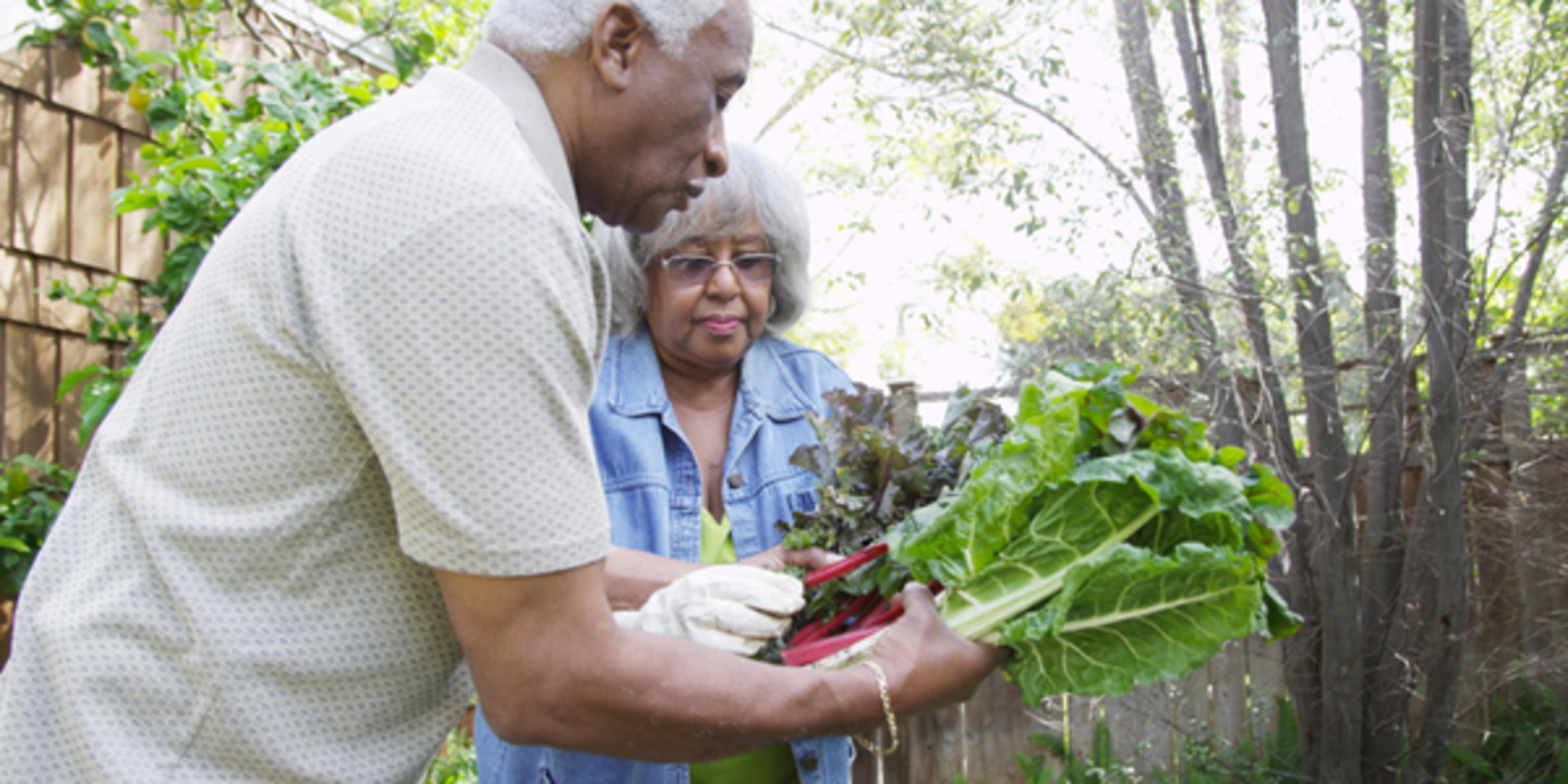 SeniorGarden-9