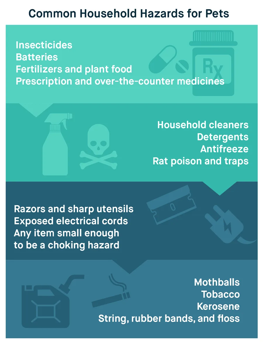 How to Use Mothballs: 12 Steps (with Pictures) - wikiHow