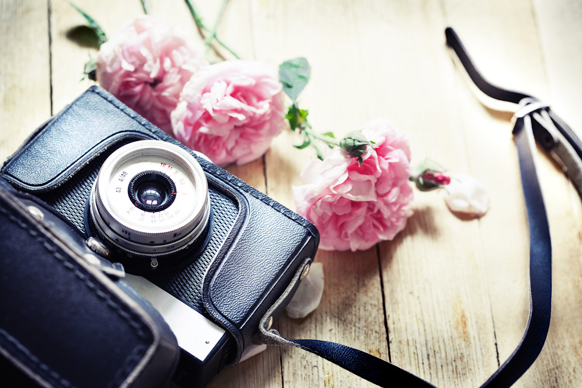 50+ Best Questions to Ask a Wedding Photographer