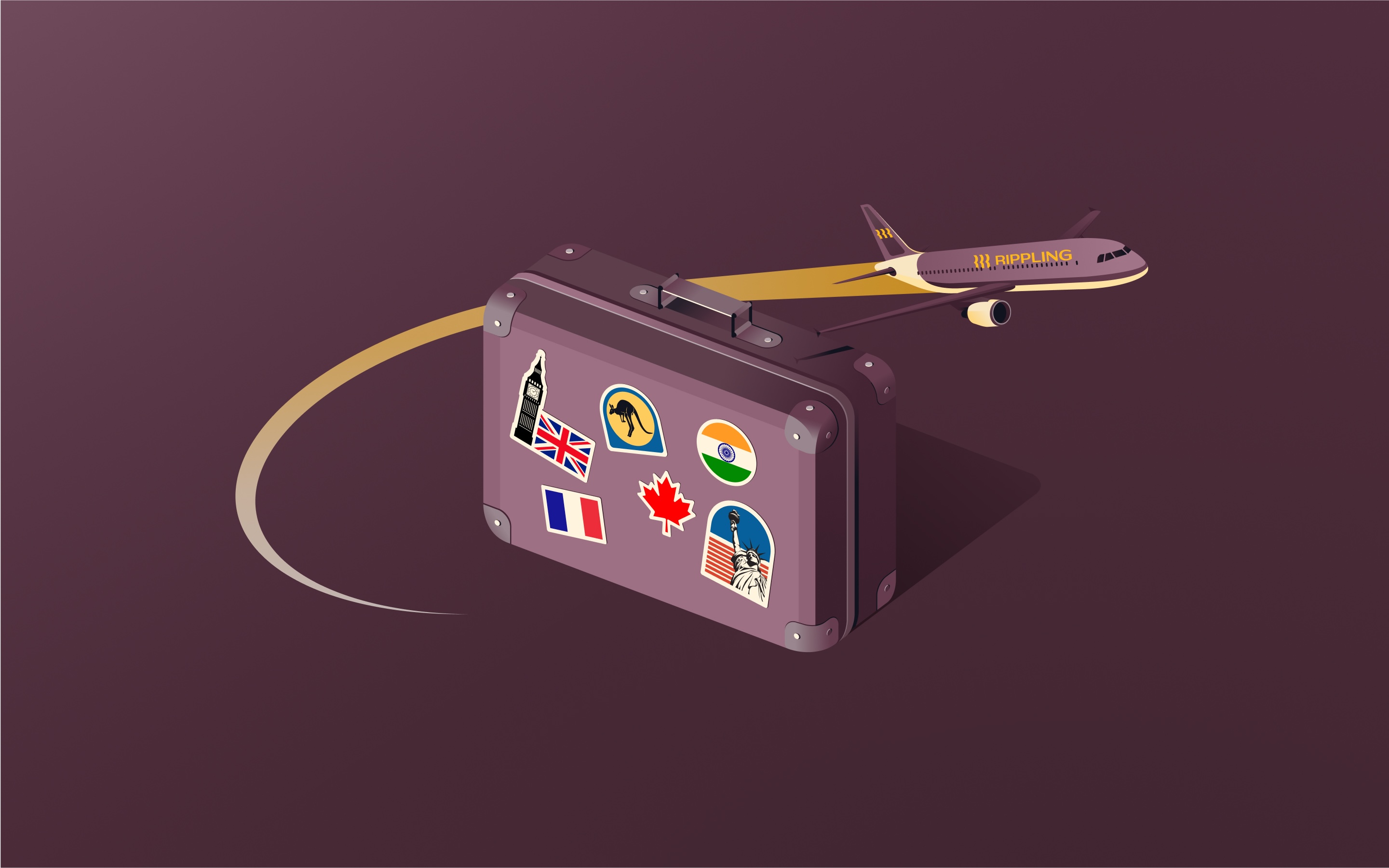 Luggage and airplane taking off. 