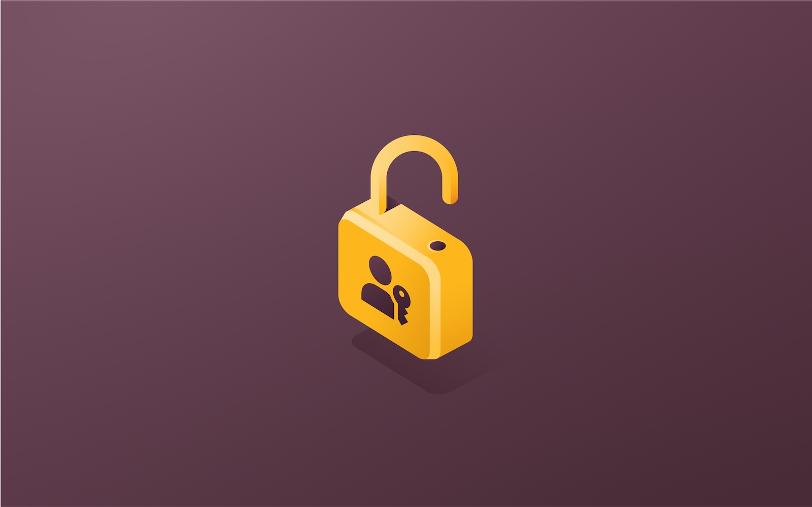 Identity Management Software 