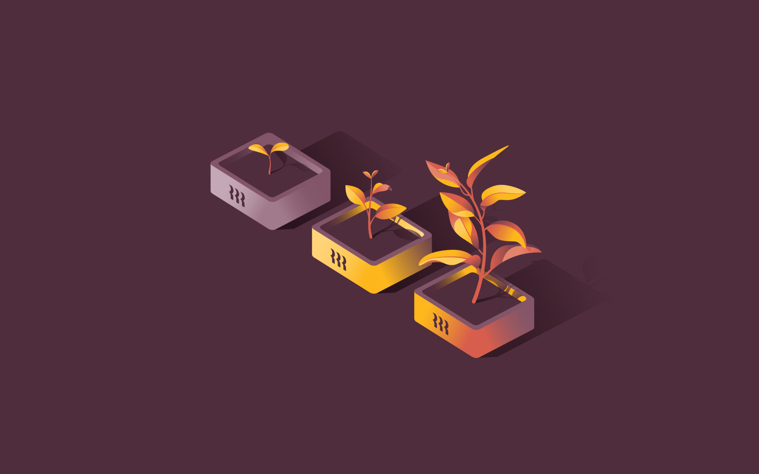 Three planters with plants in increasing stages of growth.