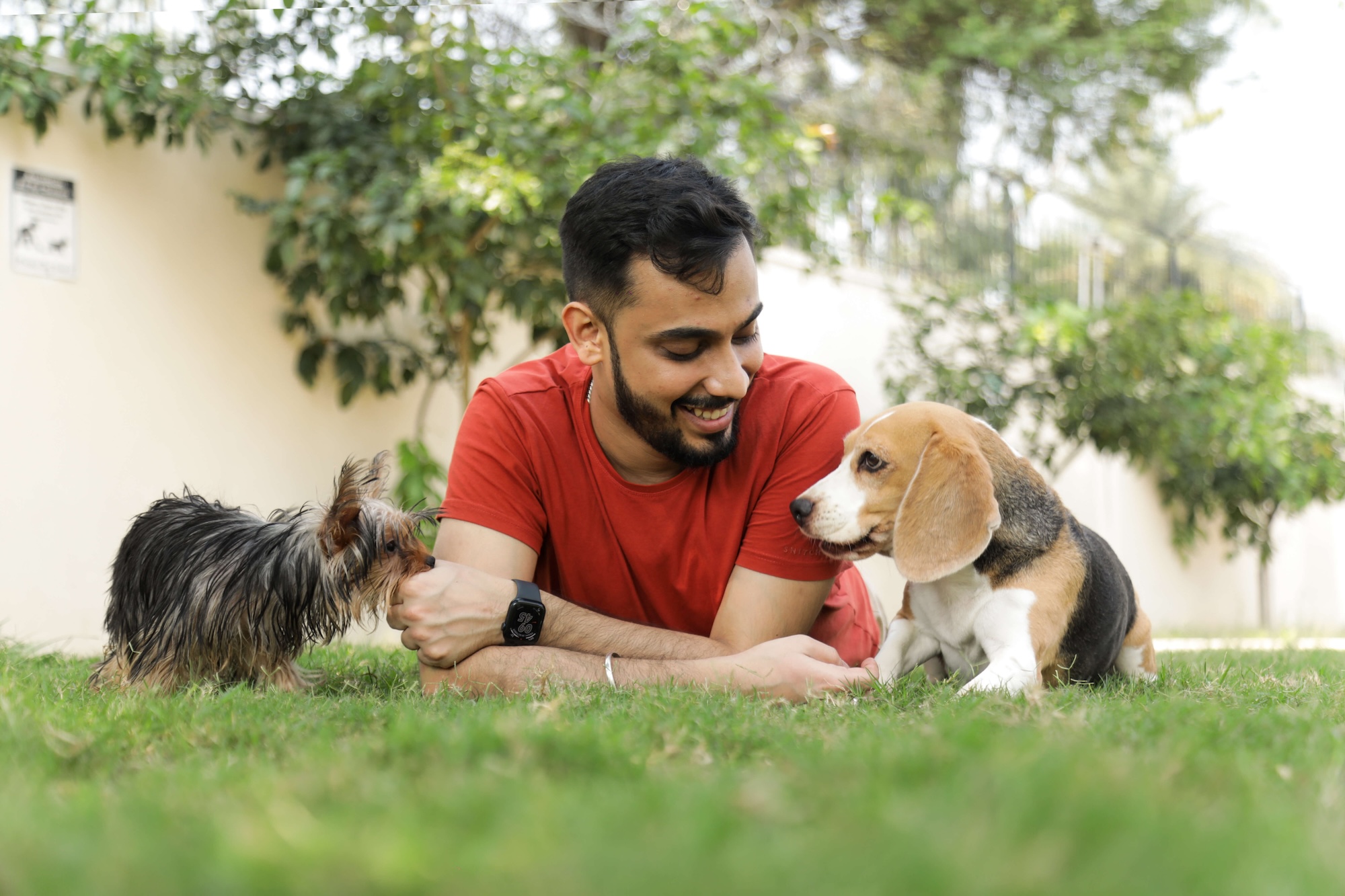 Rippler Aakarshan Chawla with two dogs posing together in the grass. 