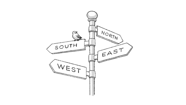 Old_Bird