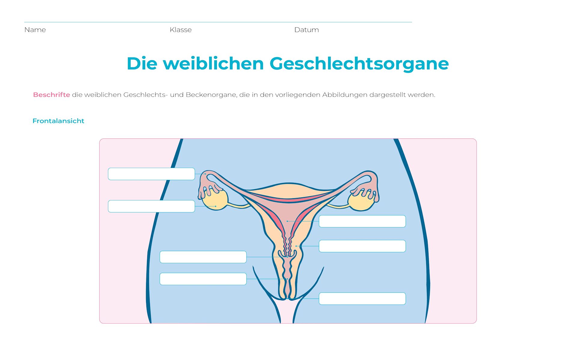Arbeitsblatt  Standard