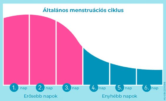 Általános menstruációs ciklus