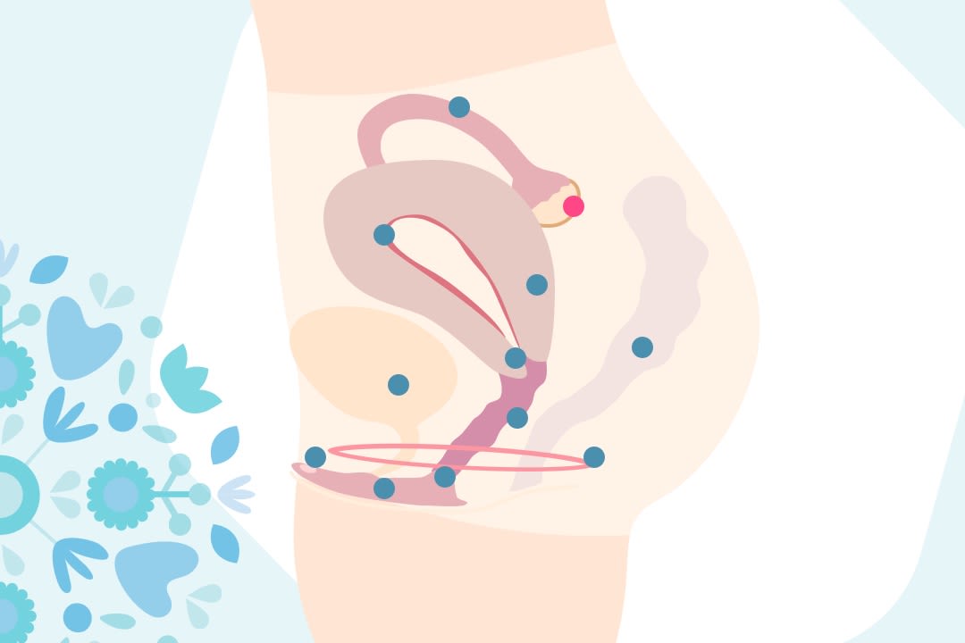 petefészek