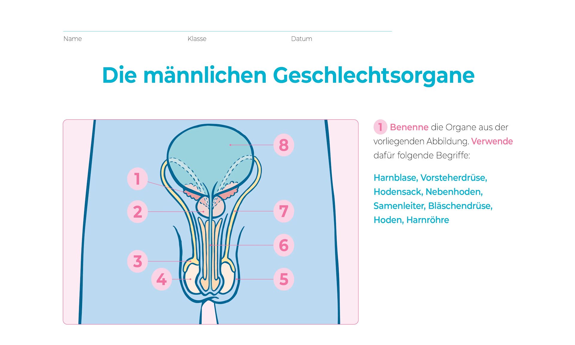 Arbeitsblatt mit Hilfestellung