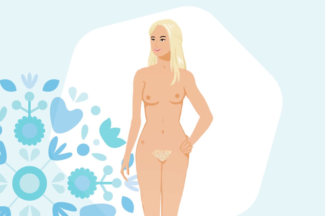 Graphique de l'anatomie des femmes
