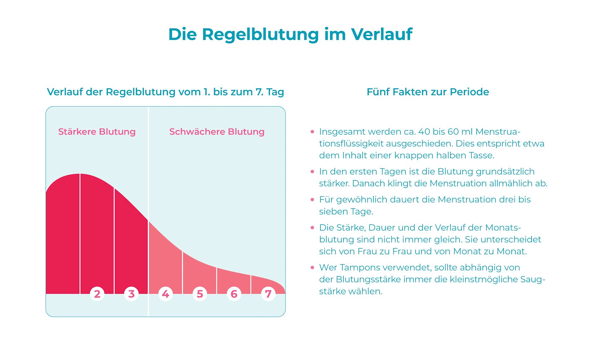 Schaubild Zyklusmechanismen