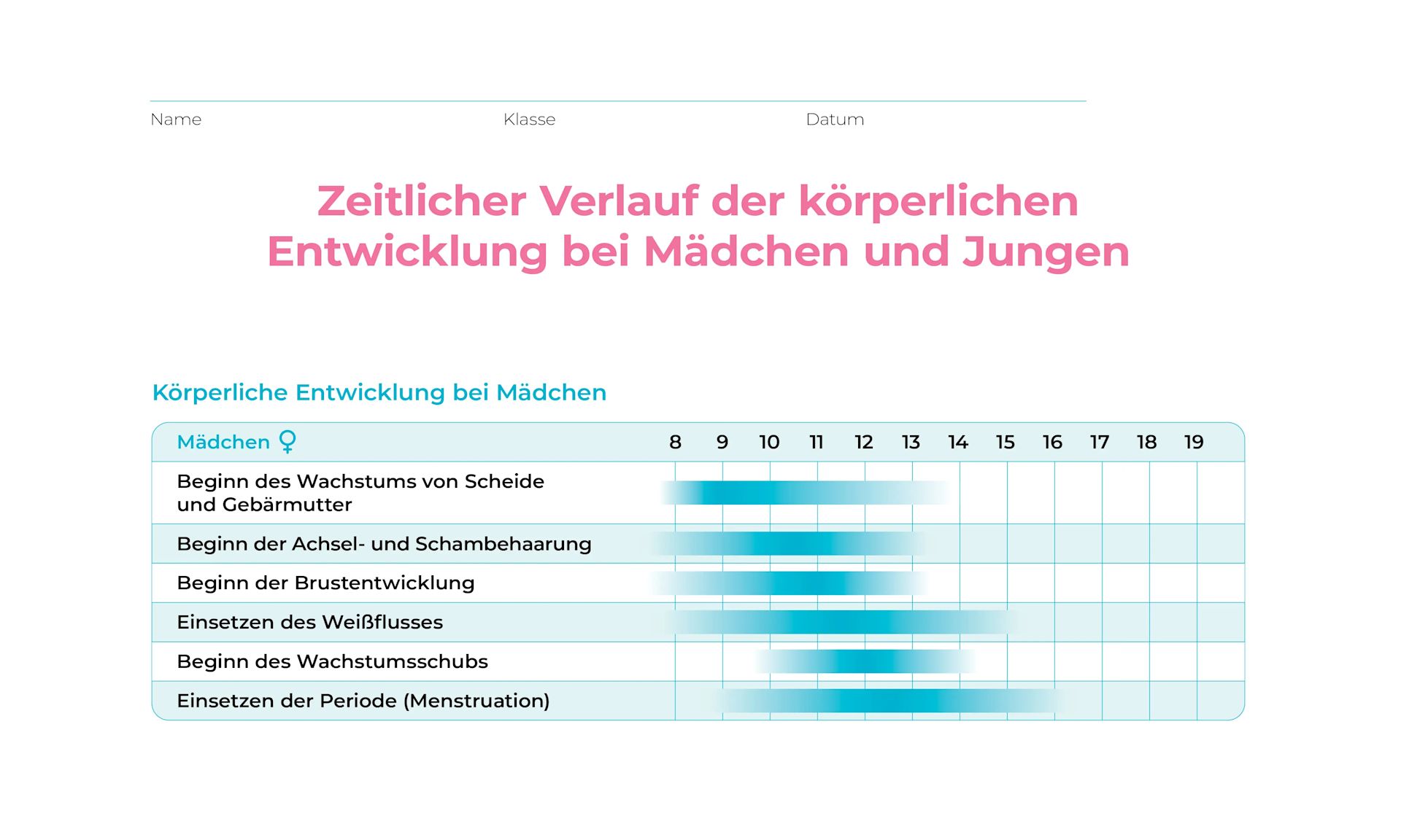Arbeitsblatt  Standard