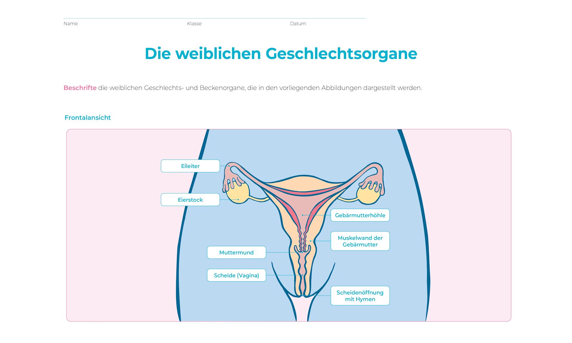 Arbeitsblatt mit Hilfestellung