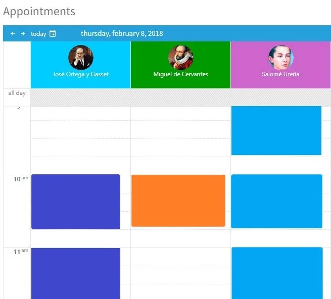 Screenshot showing Zoom Scheduler’s calendar appointment view