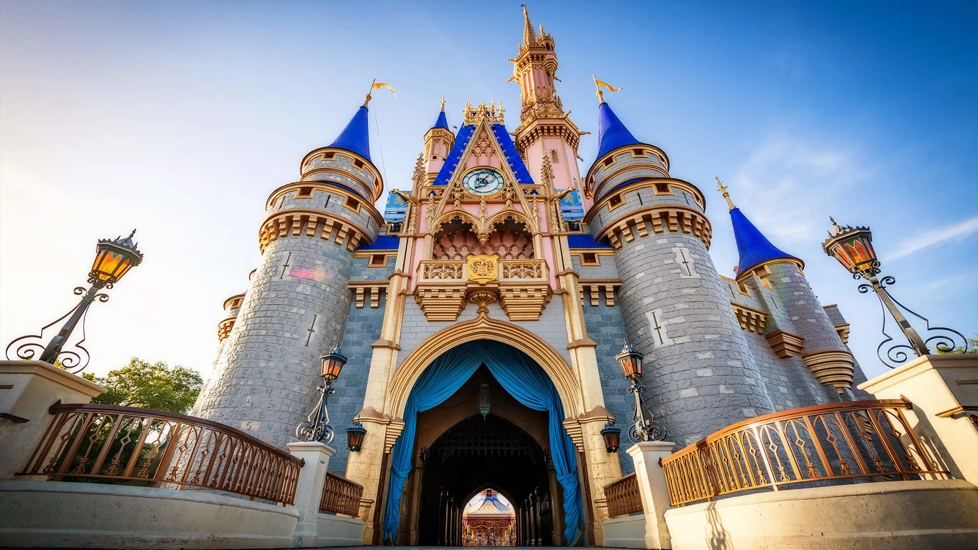Disney castle Zoom background