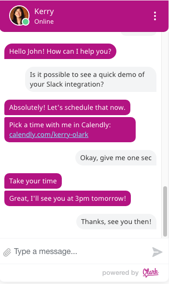 Chat screenshot from the customer's perspective: pink text bubbles, one of which reads "Pick a time with me in Calendly: [scheduling link]"