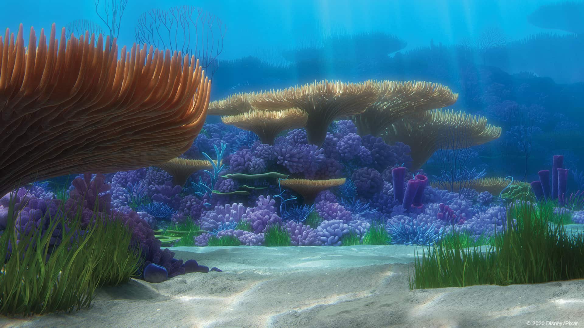 Finding Nemo Zoom background