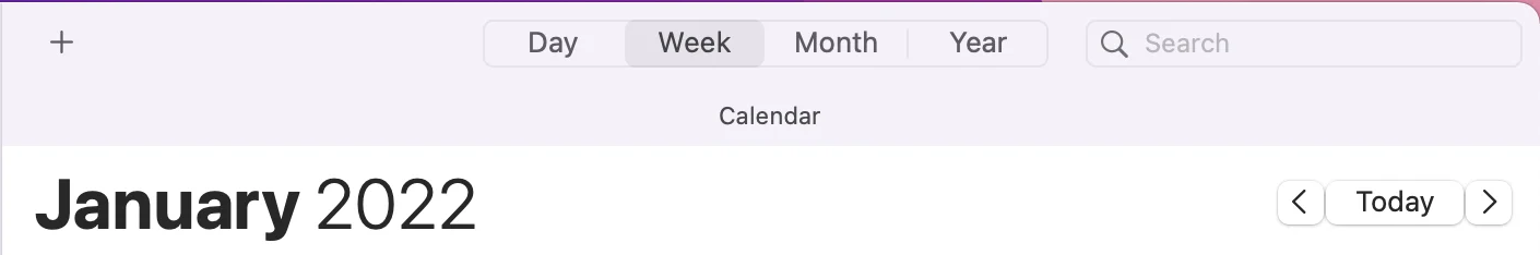 Apple Calendar top nav views: Day, Week, Month, Year