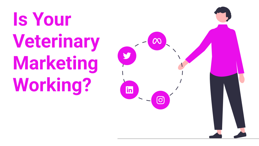 Is Your Veterinary Marketing Working?