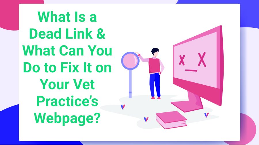 What Is a Dead Link and What Can You Do to Fix It on Your Veterinary Practice’s Webpage?