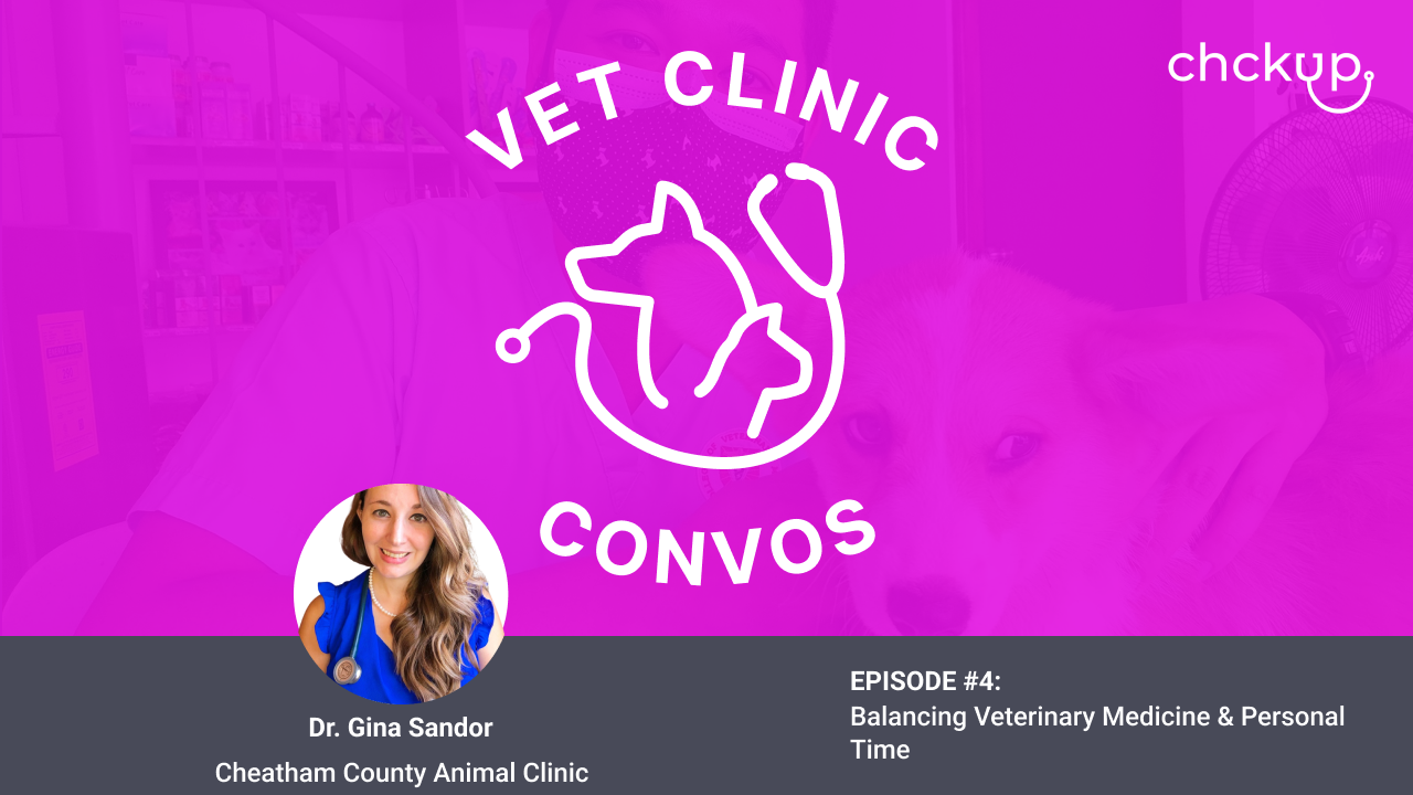 Balancing Veterinary Medicine & Personal Time with Dr. Gina Sandor - Ep. 4: Vet Clinic Convos