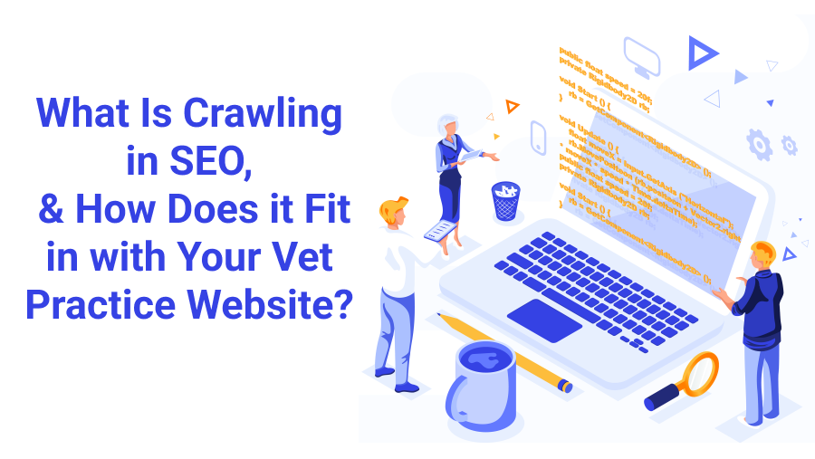 What Is Crawling in SEO, and How Does it Fit in with Your Veterinary Practice Website?