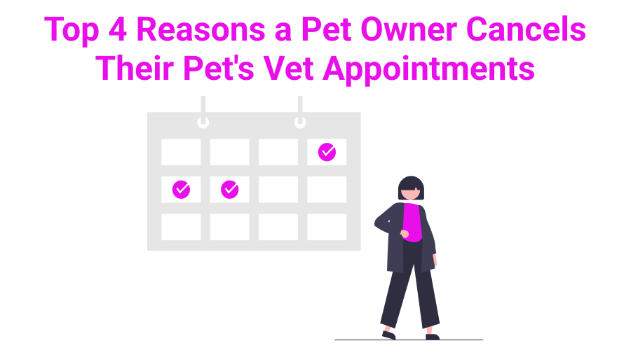 Top 4 Reasons a Pet Owner Cancels Their Pet's Vet Appointments
