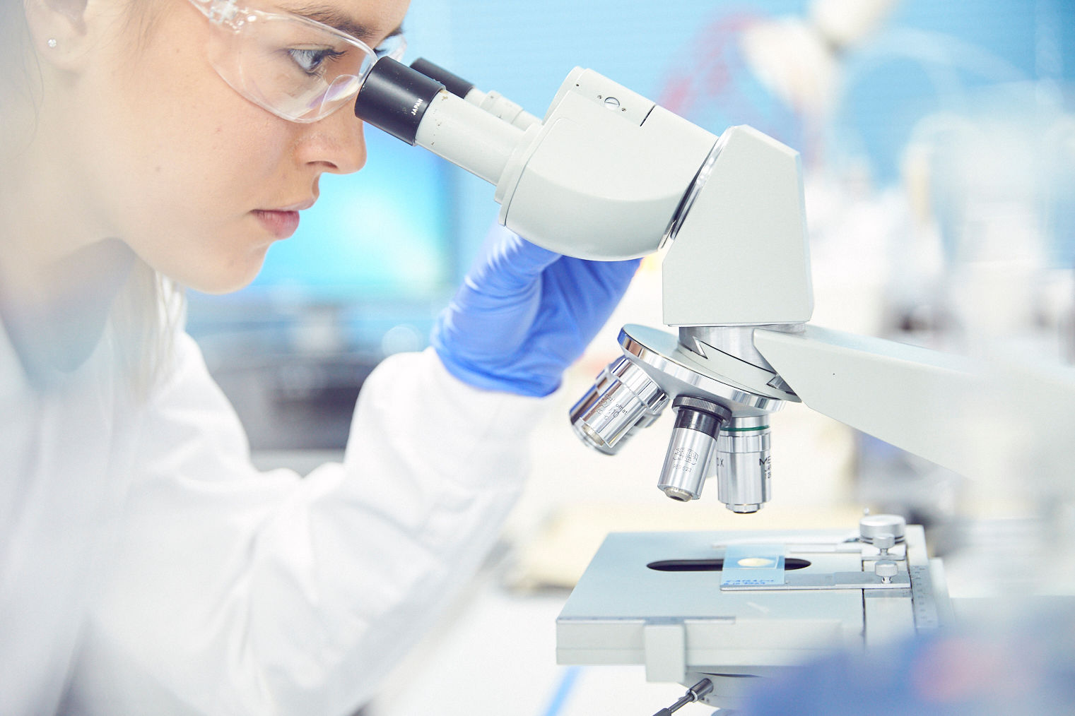 Lab - Shelby Lab - Shelby