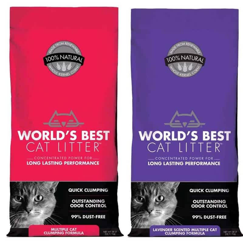 Safe Cat Litter Choices Only Natural Pet