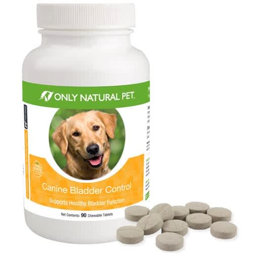 Supporting Healthy Bladder Function with Canine Bladder Control Only