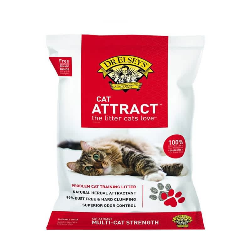 Safe Cat Litter Choices Only Natural Pet