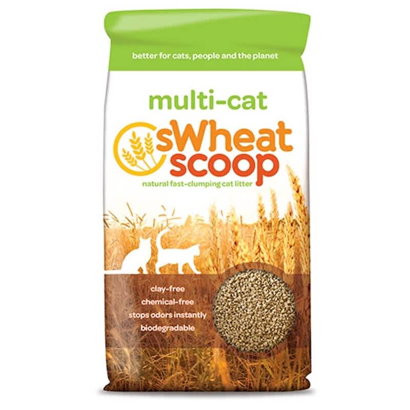 Safe Cat Litter Choices Only Natural Pet