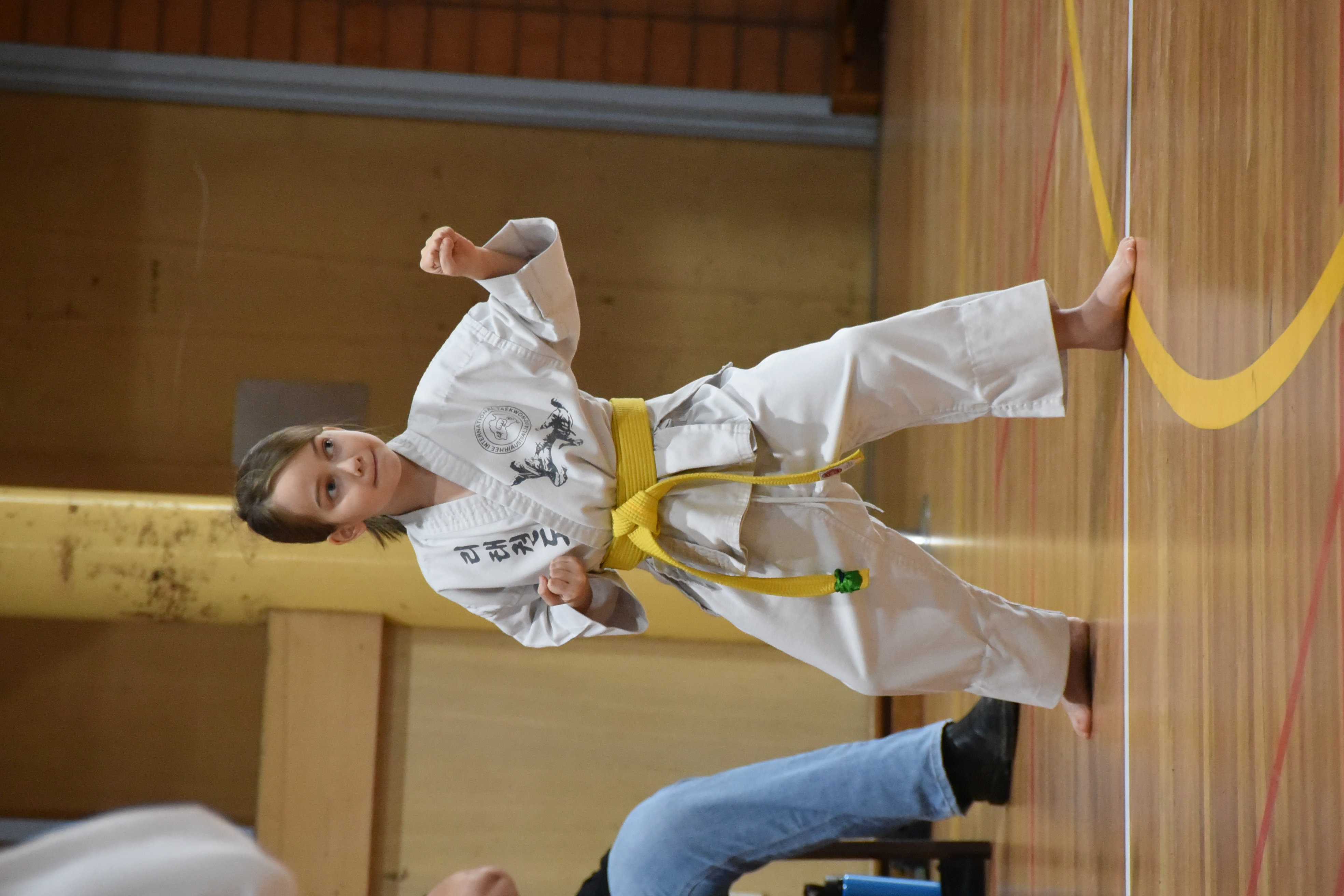 action-day-feb-2019 - DSC 1489