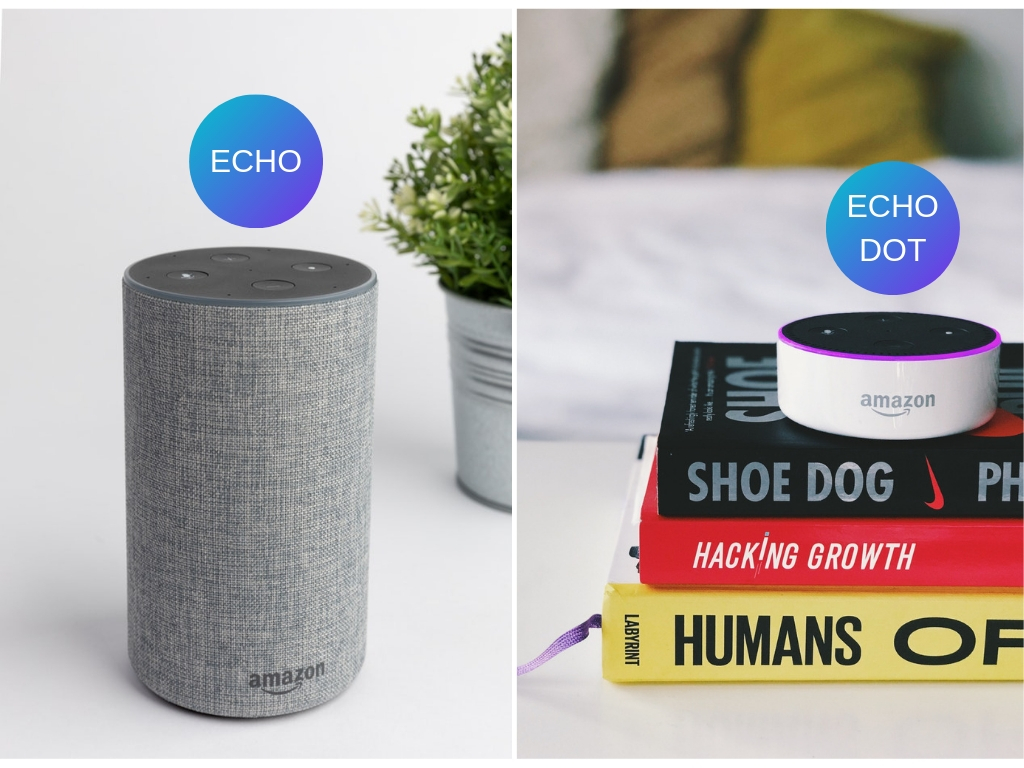 Amazon Echo and Echo Dot