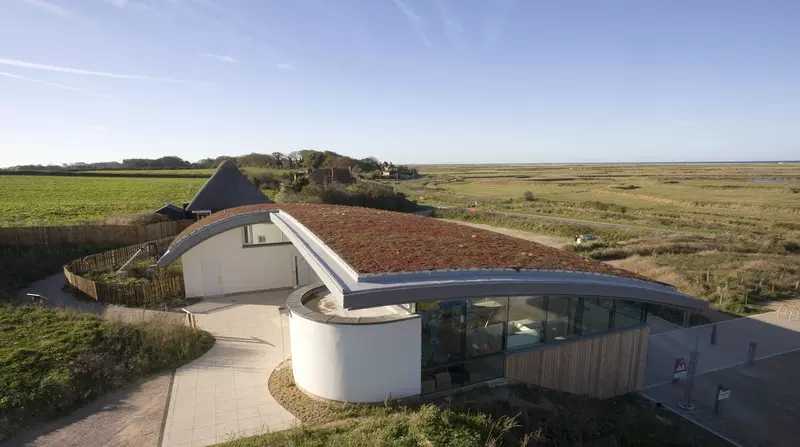 flat green roofs