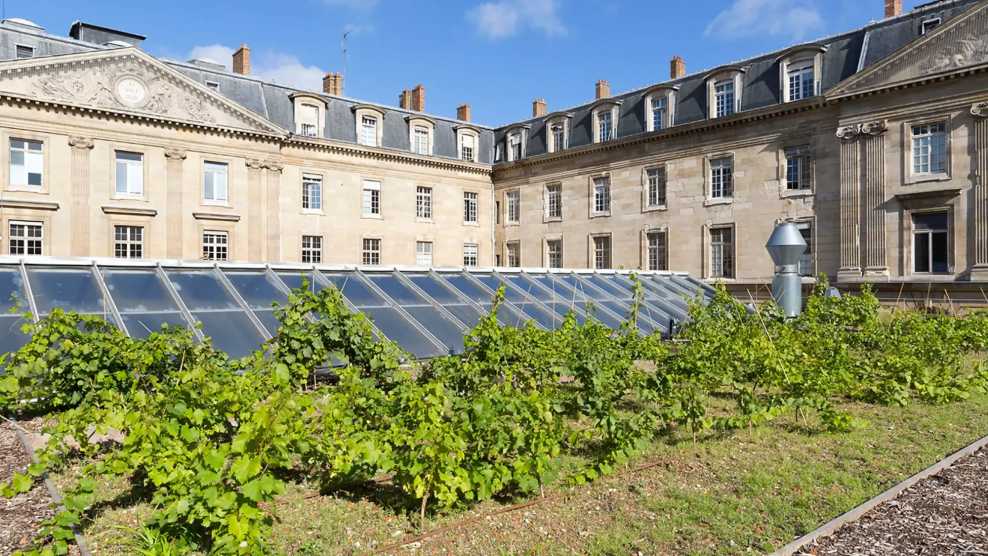 Green Roofs Benefits