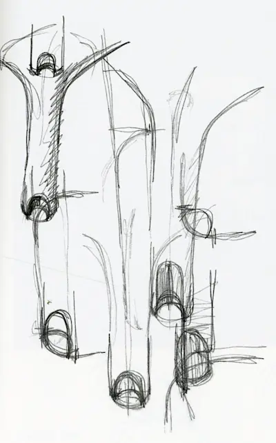 Demetrio Sketch