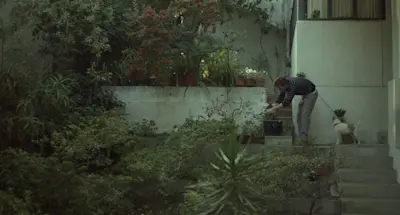 Beginners, 2010
