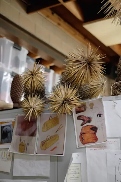 Cactus store