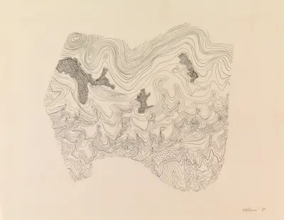 Topographic Study, 1950 Pen on paper