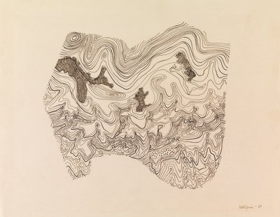Topographic Study, 1950 Pen on paper