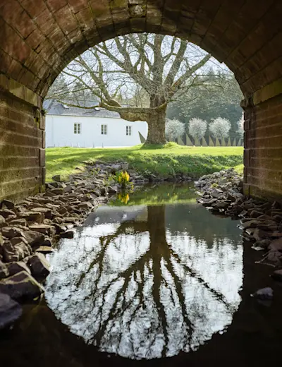 Reflections abound in The Garden of Cosmic Speculation