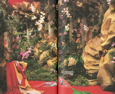 Orchidees, Spring 1980