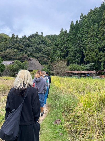 Walking through the rice field towards the minka