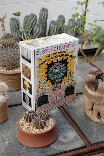 Cactus store