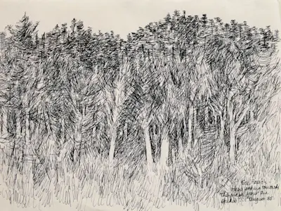 Sea Ranch: View Looking Towards the Ridge from the Studio, 1985 Ink on paper